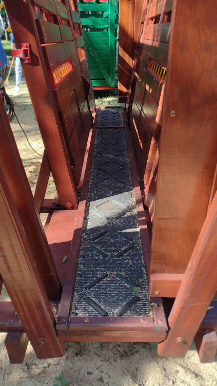 Detalhe da madeira Faveiro Ferro no tronco de contenção